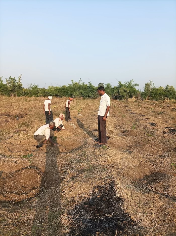 Vaishnavi Nursery (biru) - 2