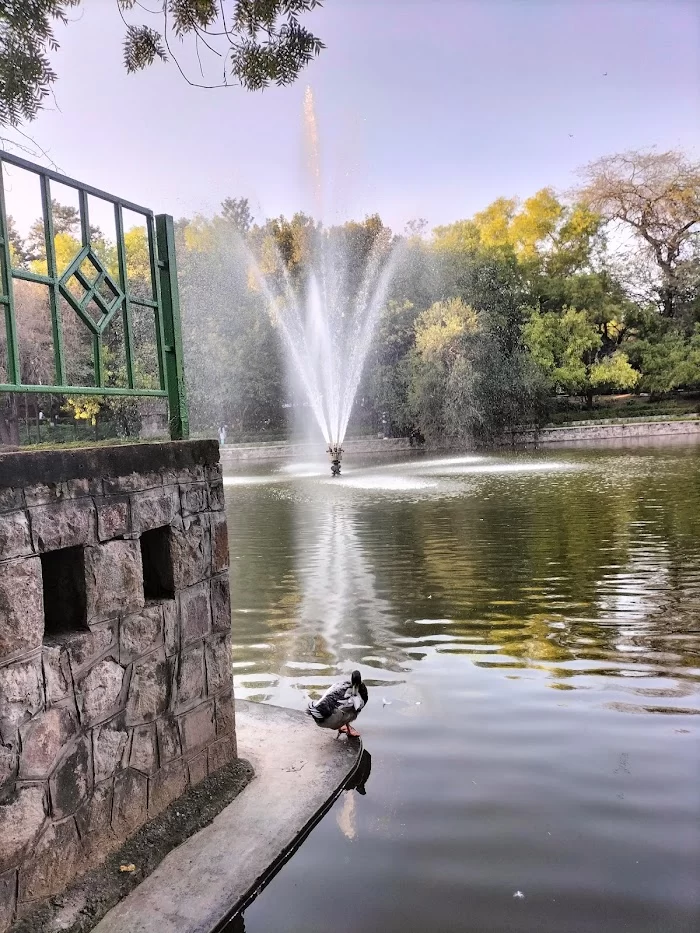 Lodhi Garden - 8