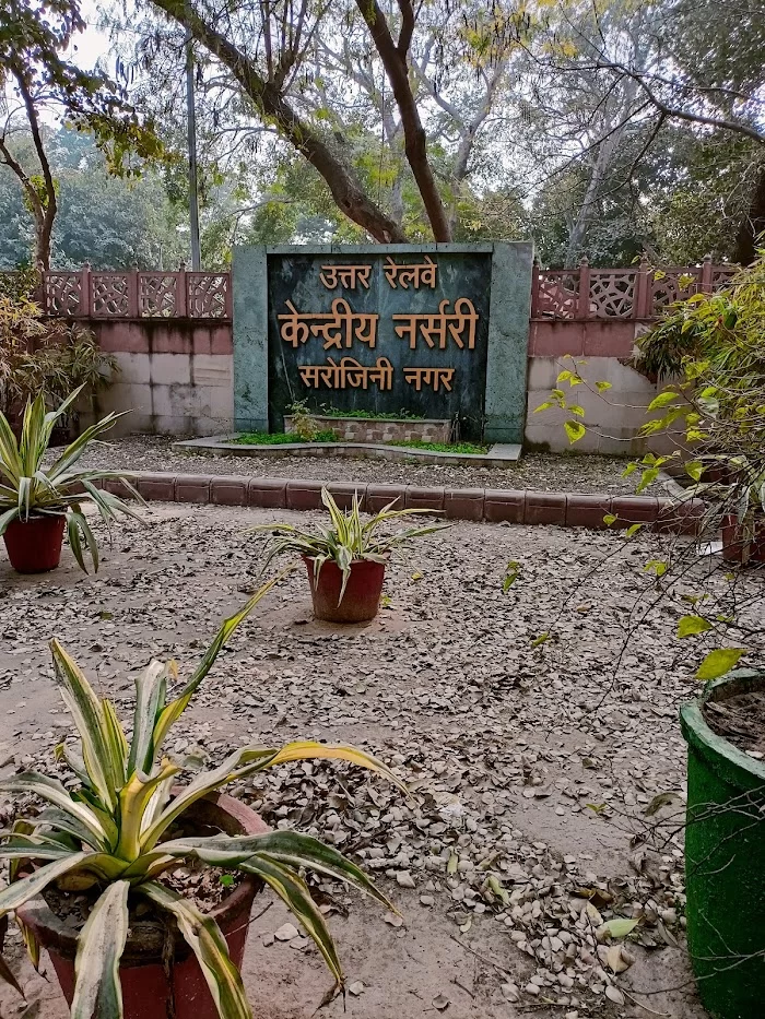 Railway Nursery Sarojini Nagar - 3