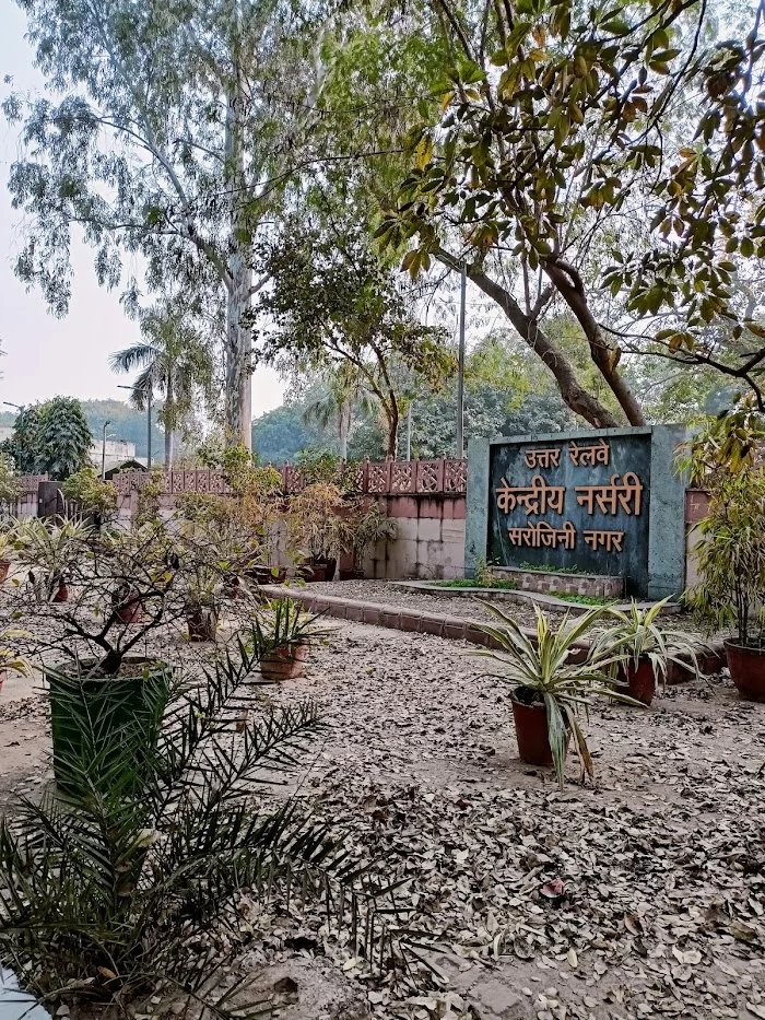 Railway Nursery Sarojini Nagar - 4