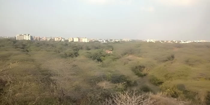 Lajpat Nagar Park - 1