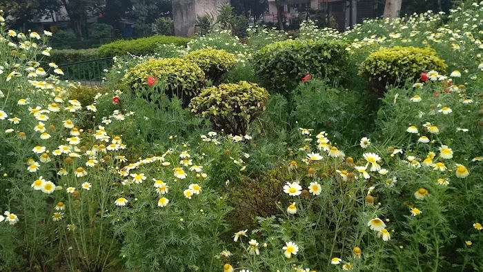 Lajpat Nagar Park - 4