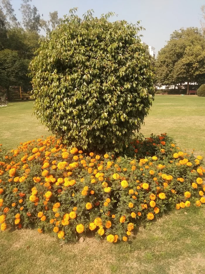 Neeti Bagh Park - 8