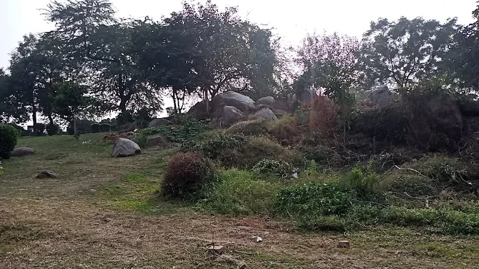 Narendra Modi Park - 4