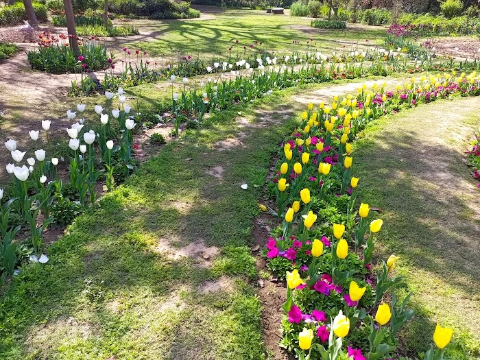 Herbal Garden Lodhi Park - 4