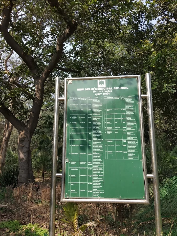 Herbal Garden Lodhi Park - 9