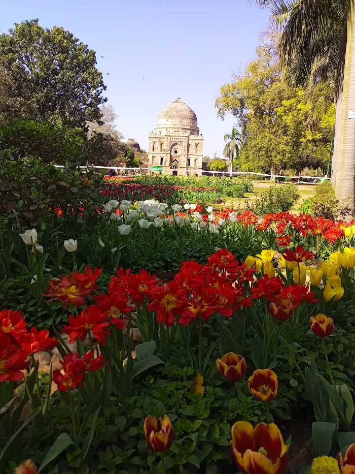 Herbal Garden Lodhi Park - 6