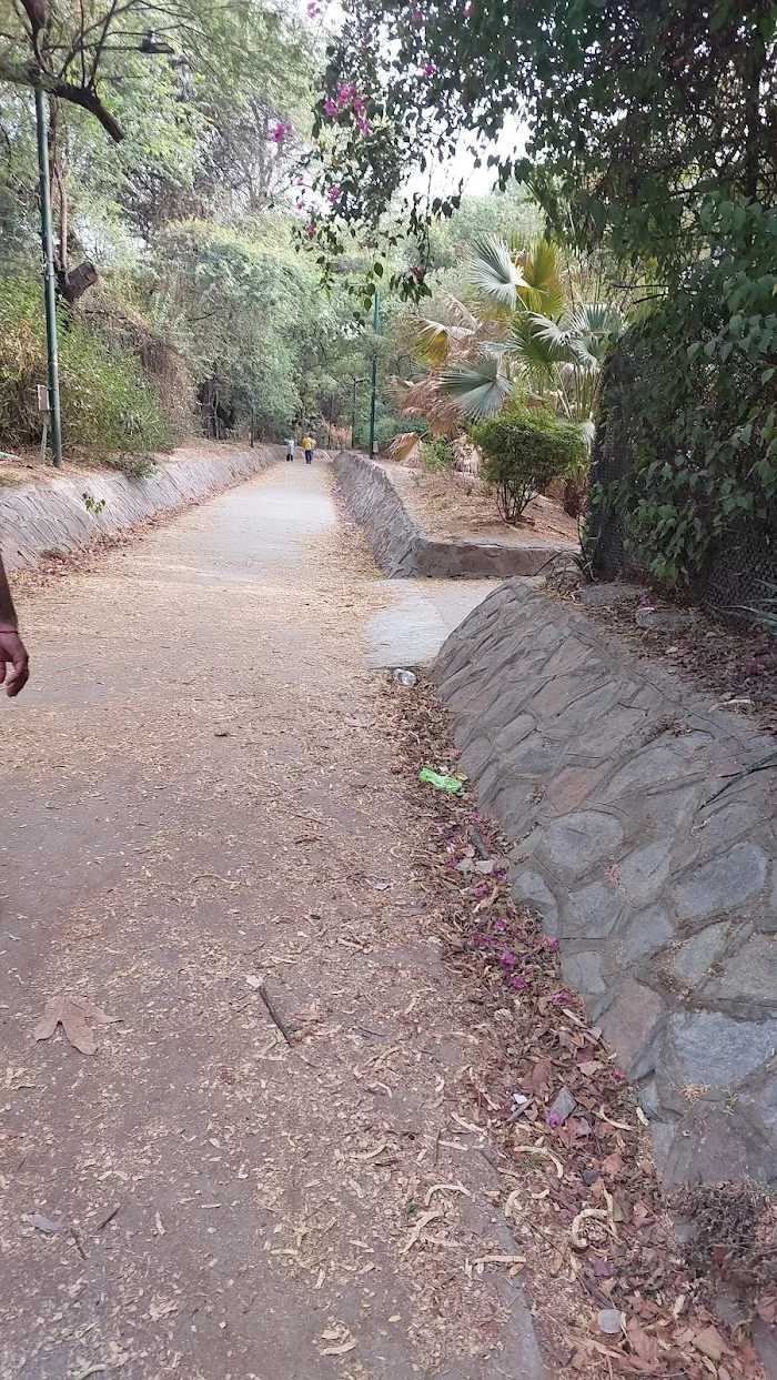 Running track lodhi garden - 4