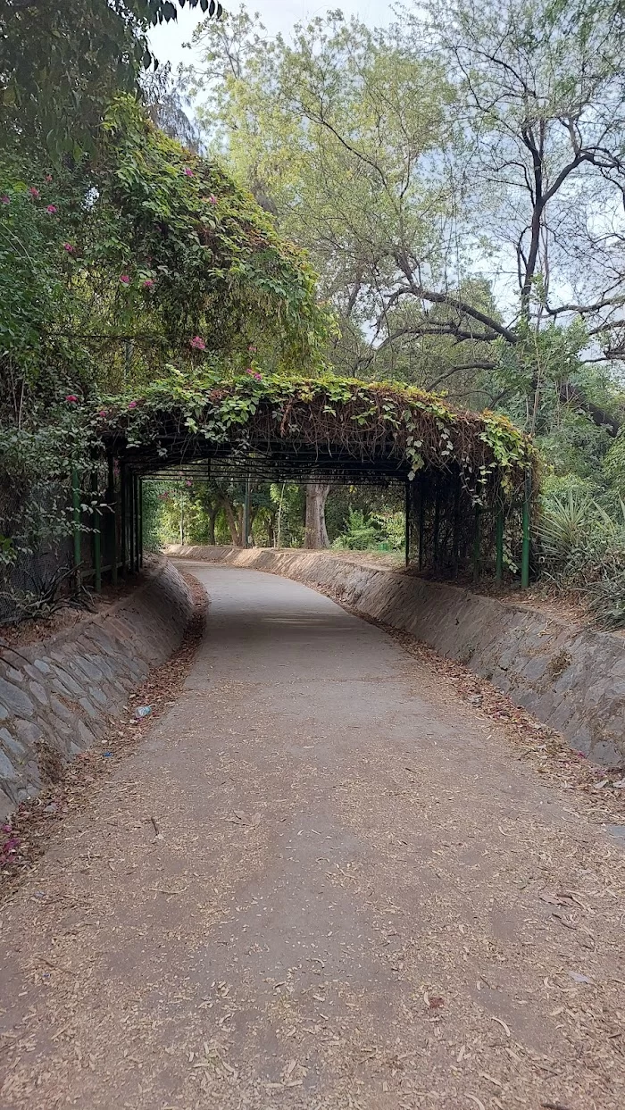 Running track lodhi garden - 5