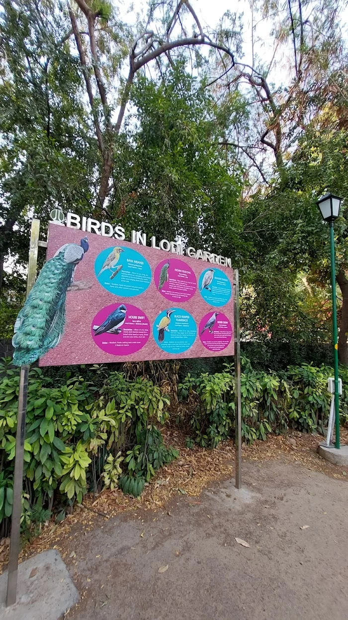 Birds Zone, Lodhi Garden - 2