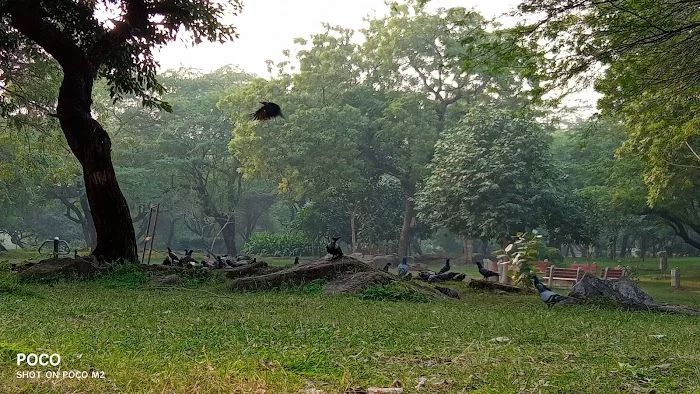 Kalkaji Park - 1