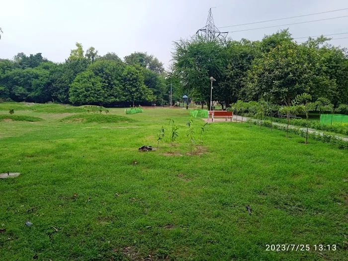 DDA Green Area at Shakarpur (Nehru Enclave) - 4