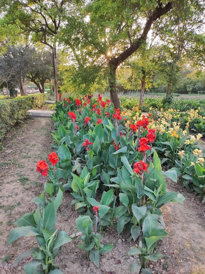 Azeemganj Sarai Park - 9