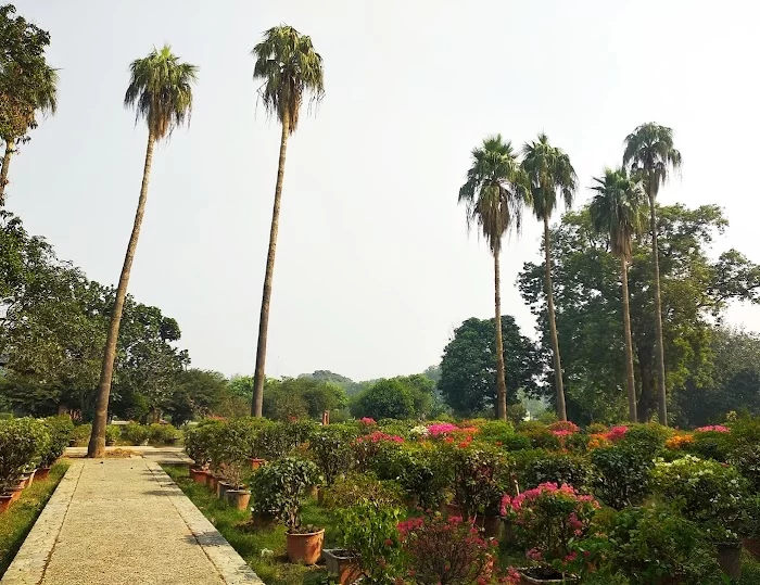 Azeemganj Sarai Park - 2