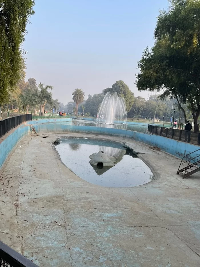 Sanjay jheel birds pool - 4