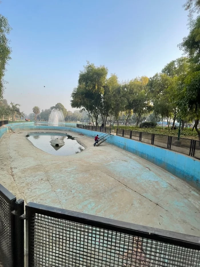 Sanjay jheel birds pool - 3