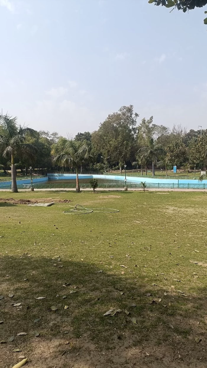 Sanjay jheel birds pool - 5