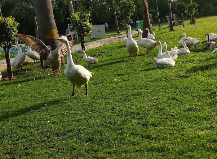 Sanjay Jheel & Park - 3