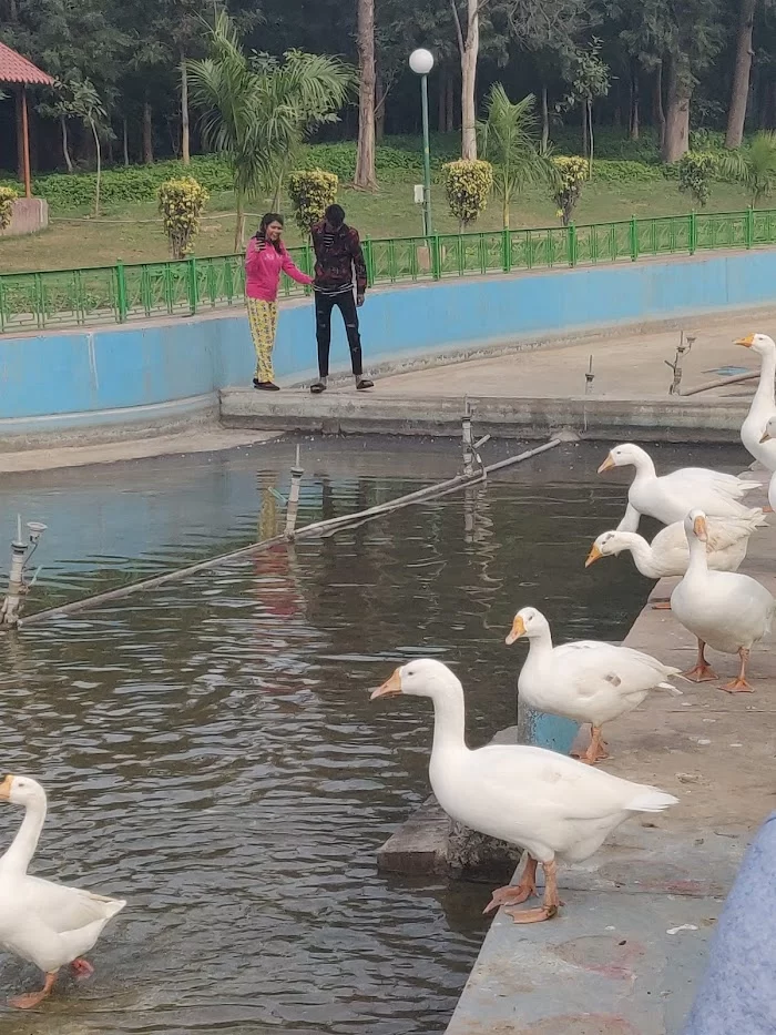 Sanjay Jheel & Park - 7