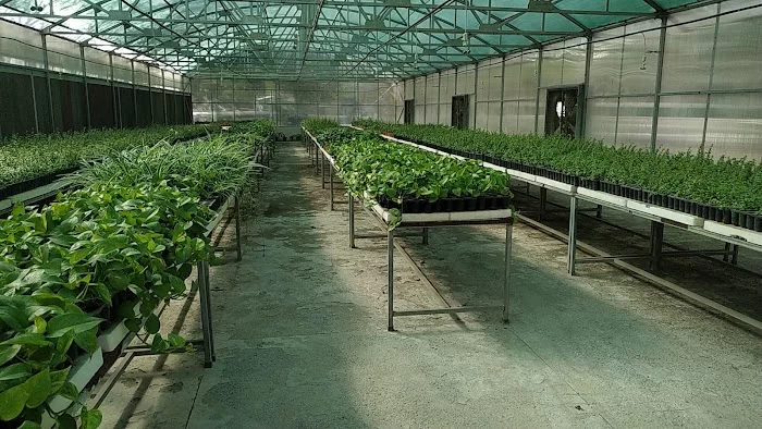 NDMC Nursery - 2