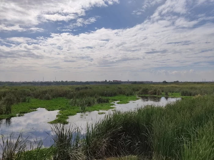 Okhla Bird Sanctuary - 1