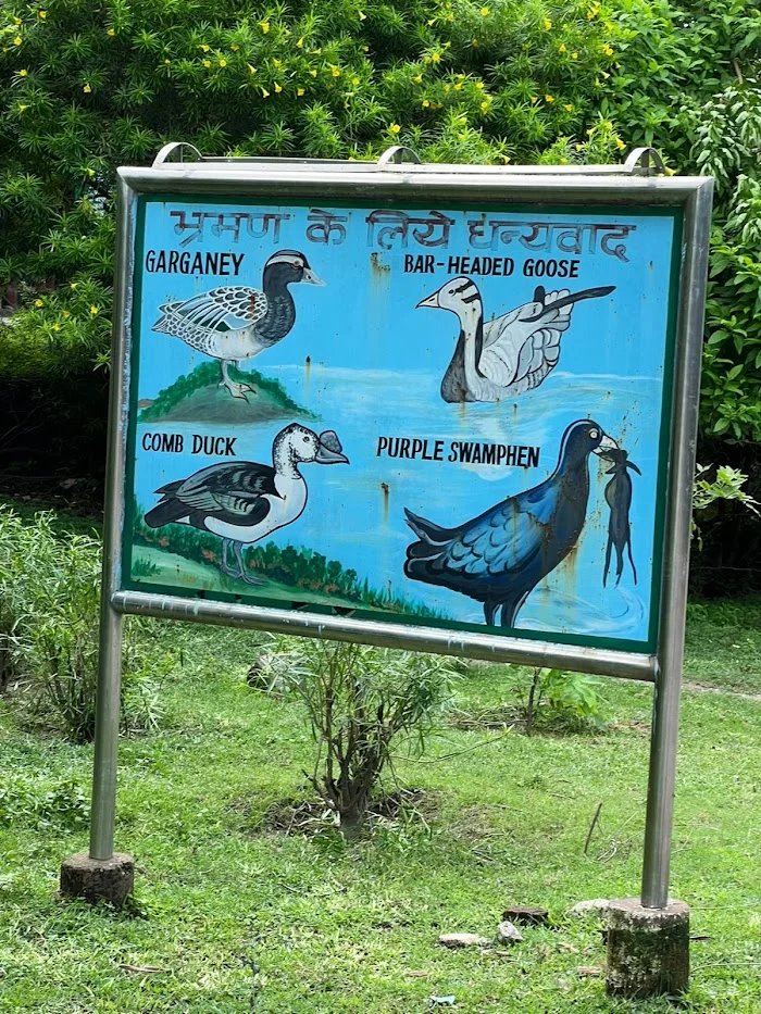 Okhla Bird Sanctuary - 9