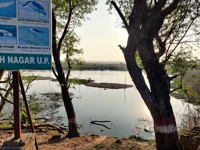 Okhla Bird Sanctuary - 4