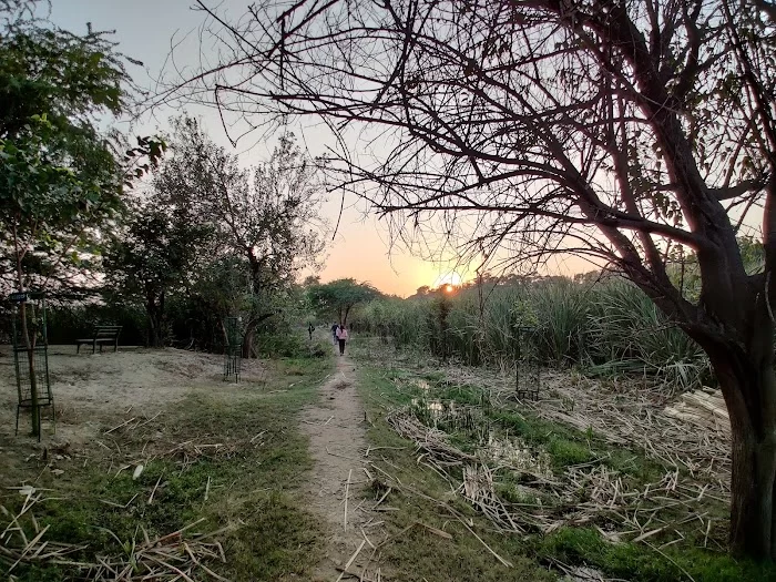 Okhla Bird Sanctuary - 6