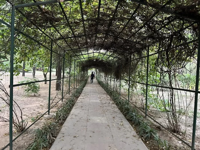 Buddha Jayanti Park - 4