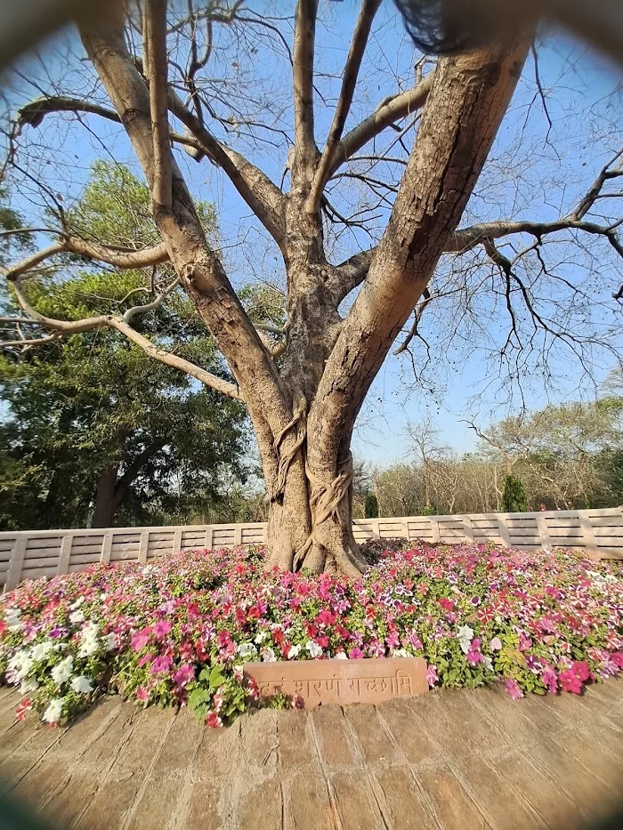 Buddha Jayanti Park - 9