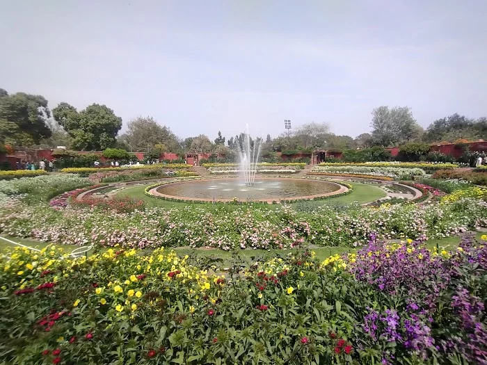 Bonsai Garden (Amrit udyan) - 0