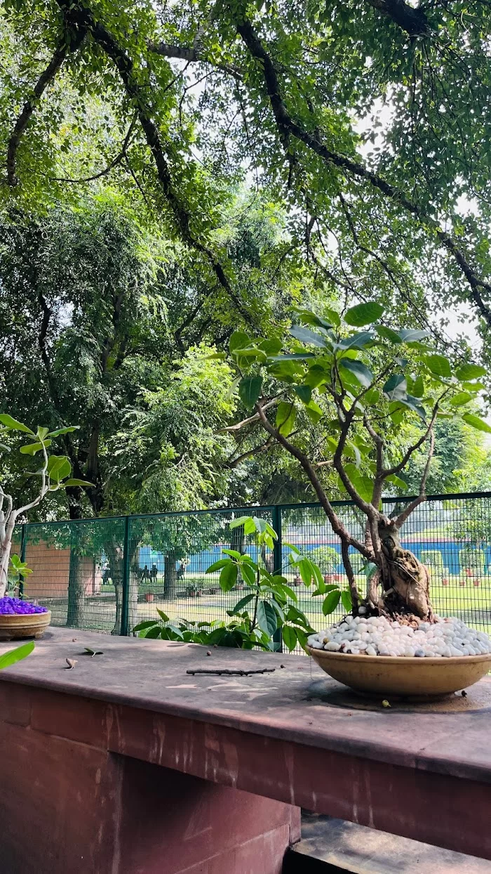 Bonsai Garden (Amrit udyan) - 8