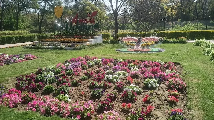 Musical fountains of Rashtrapati bhavan - 1