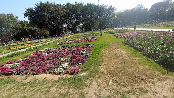 Musical fountains of Rashtrapati bhavan - 2