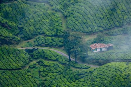 Best Time to Visit Kerala: Your Ultimate Seasonal Travel Guide