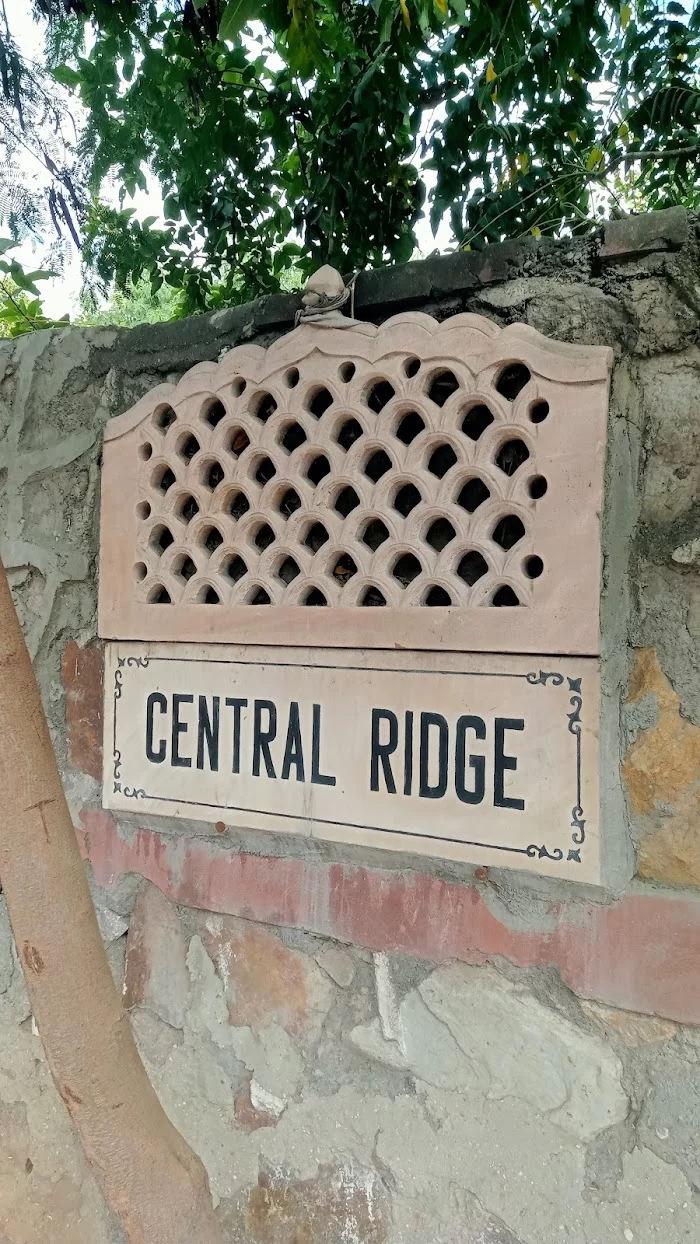 Central Ridge - 3