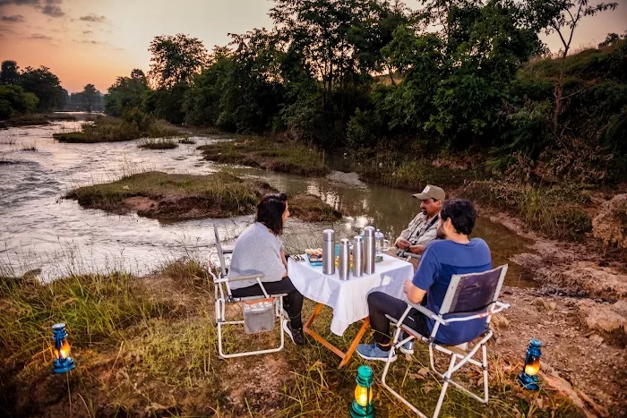 Jungle Camps India - 4