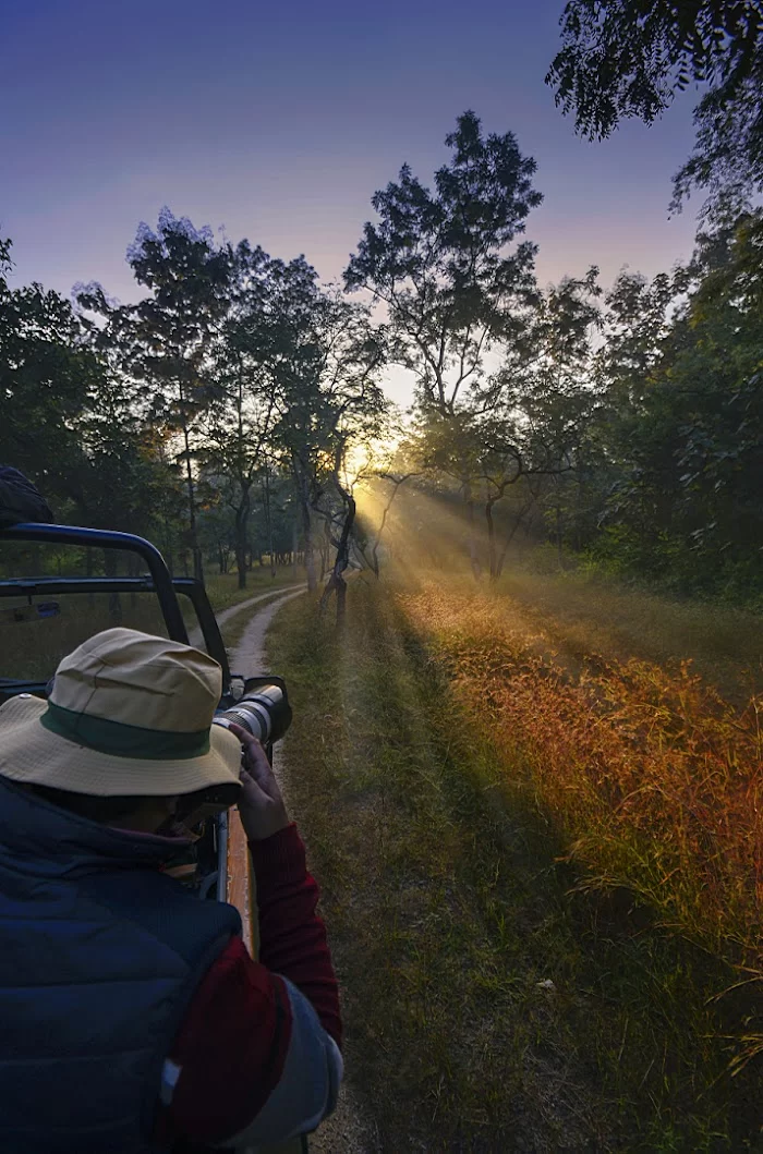 Jungle Camps India - 7