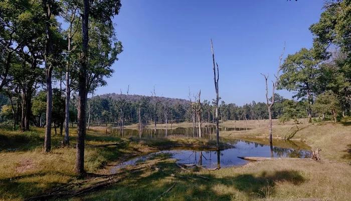 Jungle Camps India - 9