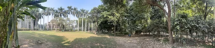 Lodhi Garden picnic area - 0