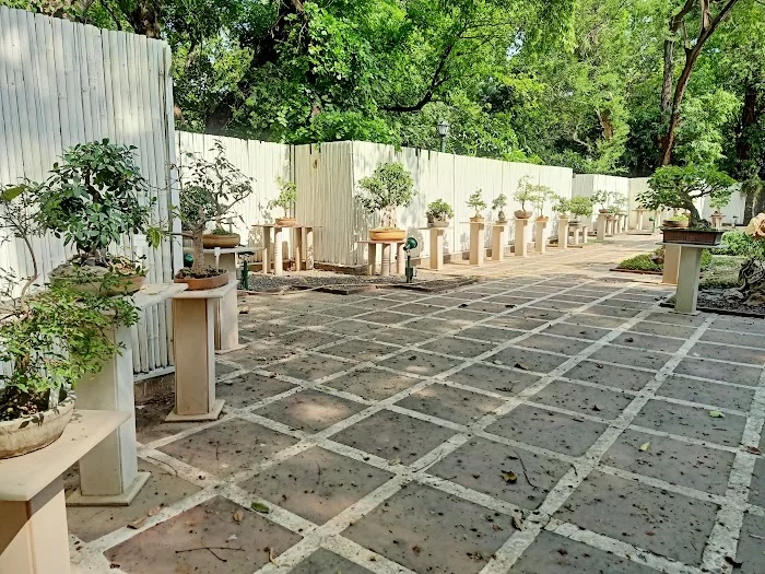 National Bonsai Park, Lodhi Garden - 2