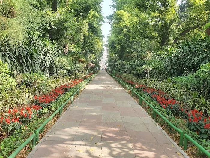 National Bonsai Park, Lodhi Garden - 6