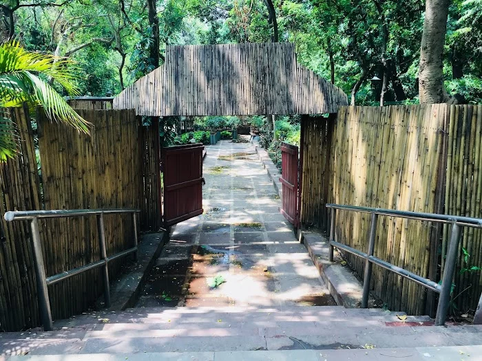 National Bonsai Park, Lodhi Garden - 7