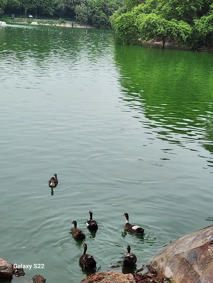 Hauz Khas Lake - 3