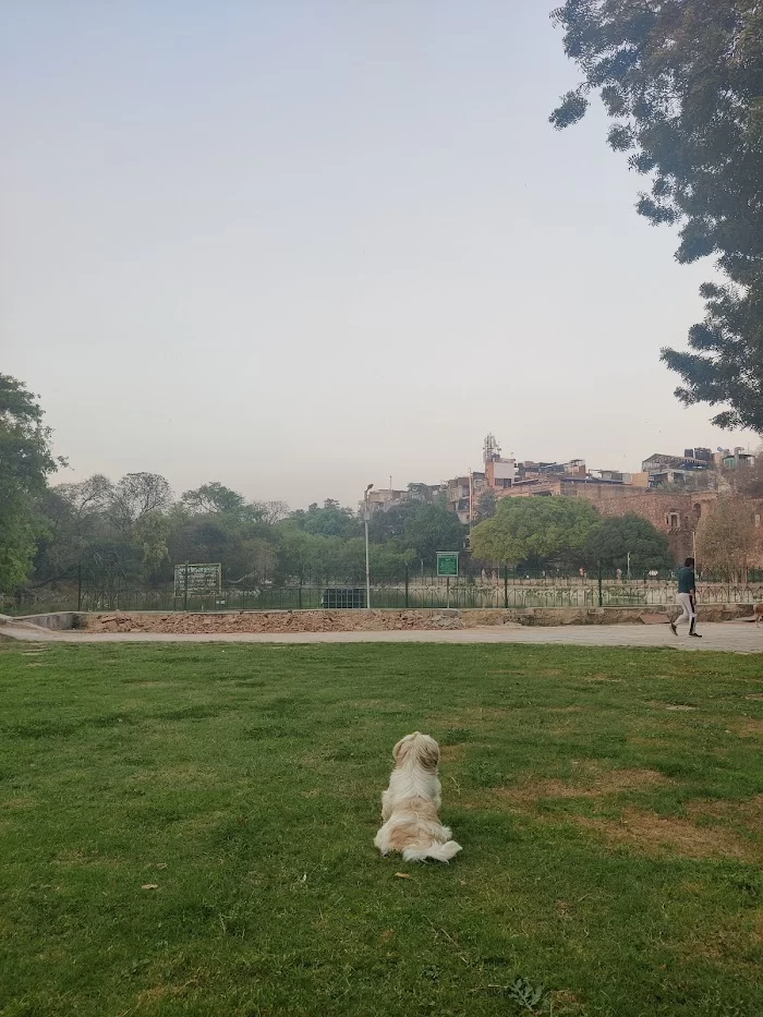 Hauz Khas Lake - 8