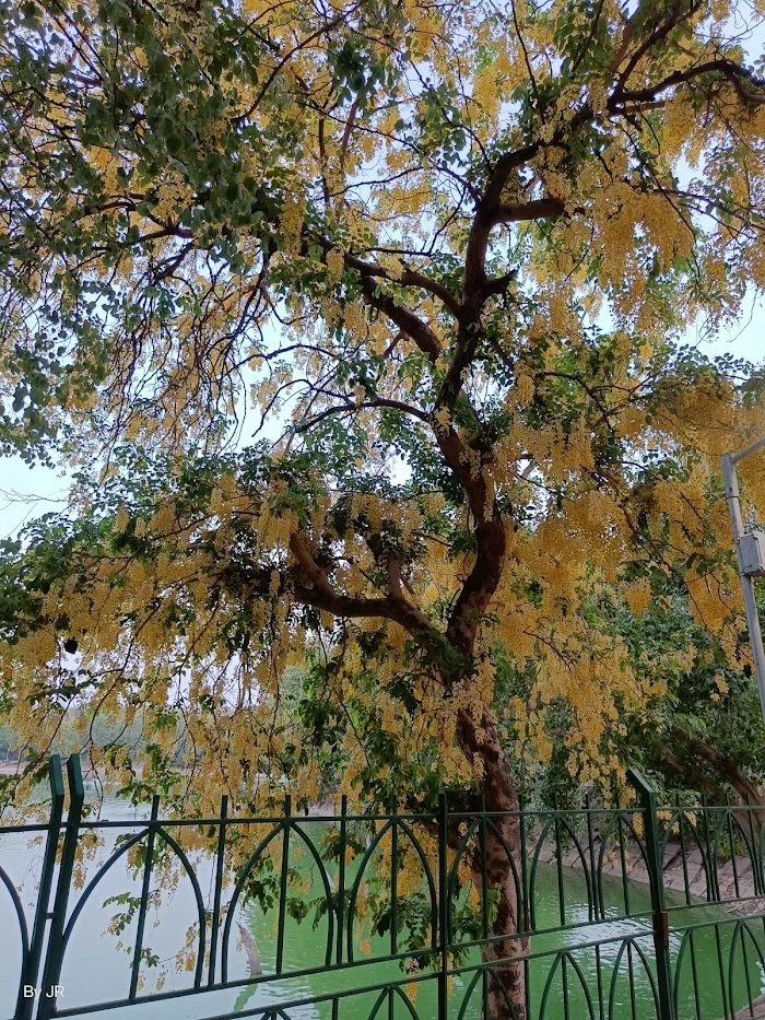 Hauz Khas Lake - 9