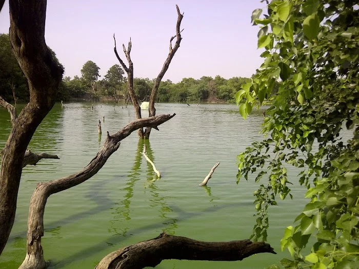 Hauz Khas Village Park - 7