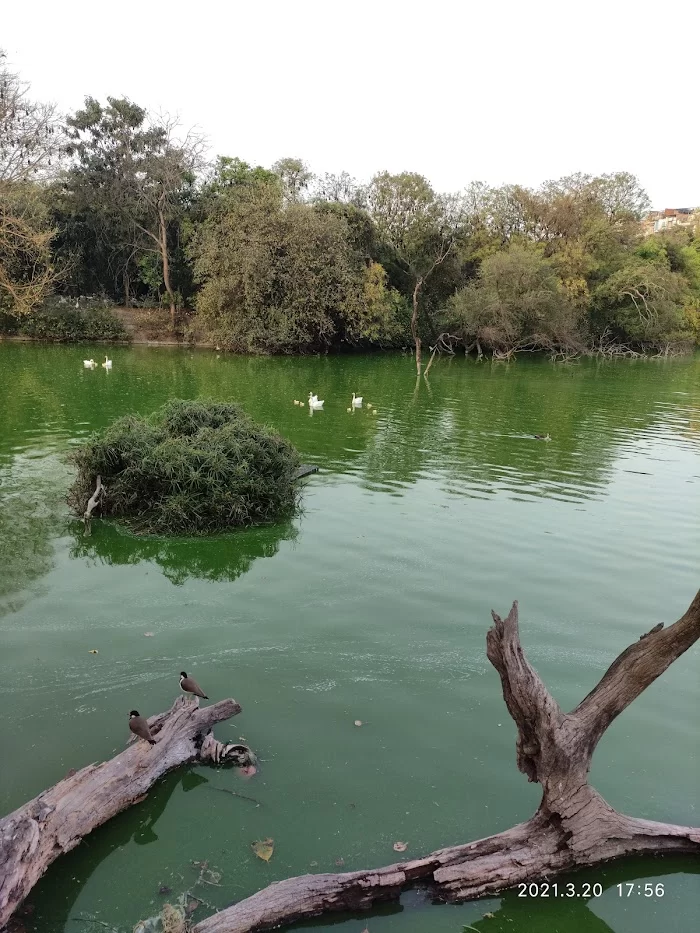 Hauz Khas District Park - 1