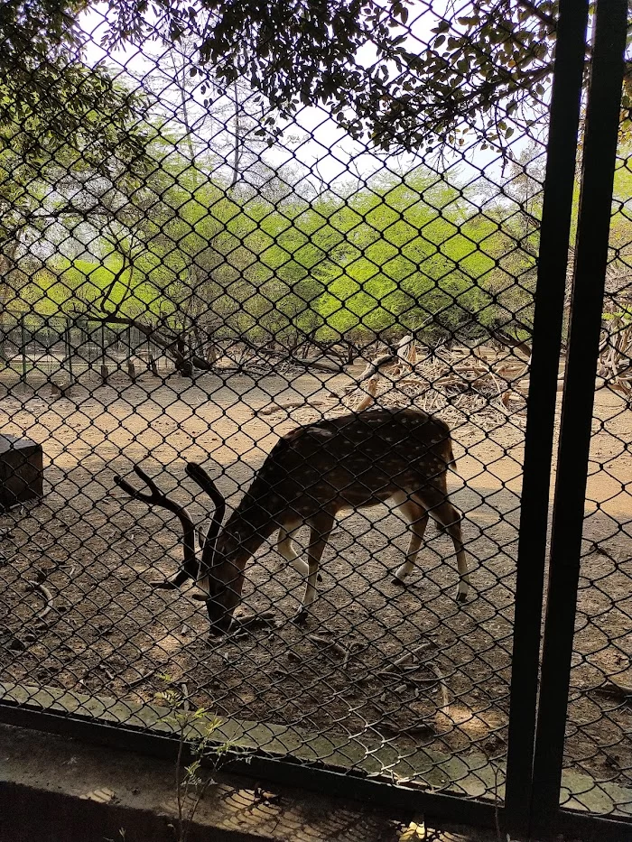 Hauz Khas District Park - 5