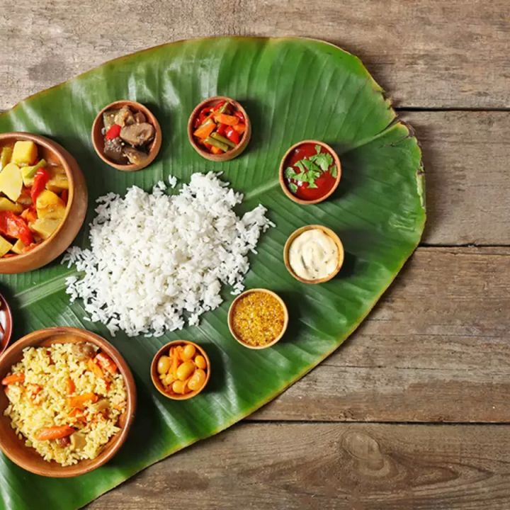 India Food and Drink Travel: Explore the Best Culinary Experiences